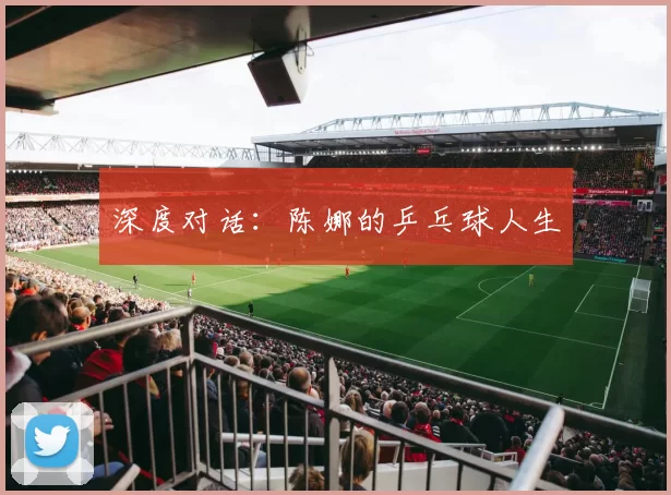 深度对话：陈娜的乒乓球人生