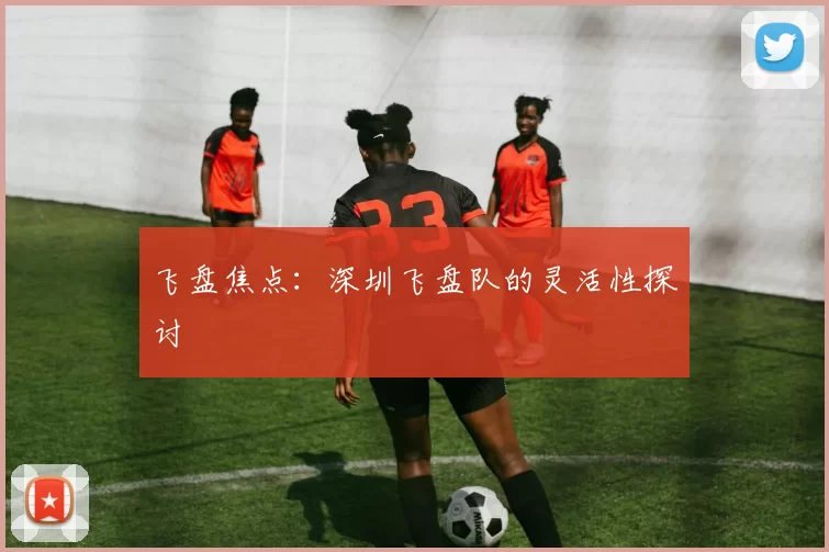 飞盘焦点：深圳飞盘队的灵活性探讨