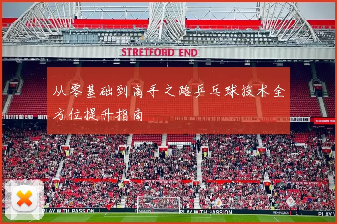 从零基础到高手之路乒乓球技术全方位提升指南