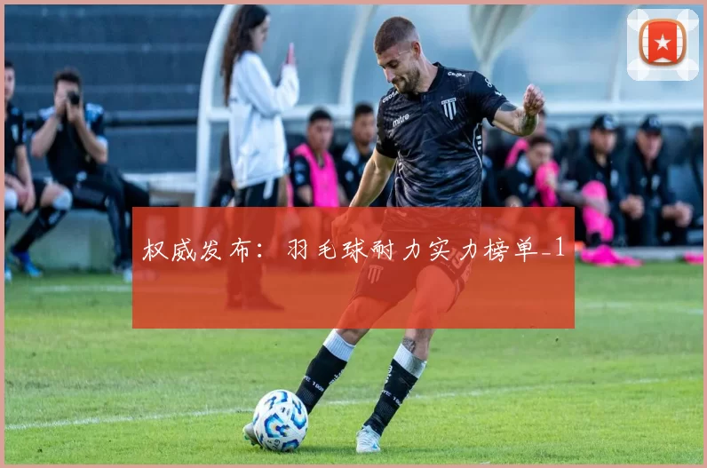 权威发布：羽毛球耐力实力榜单_1